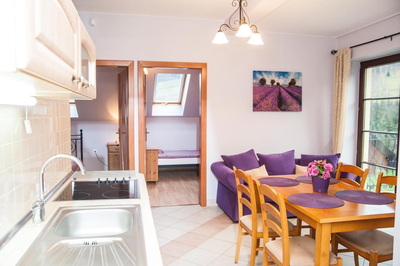 Apartamenty Dom Na Wzgorzu Gardenia Stronie Śląskie Buitenkant foto
